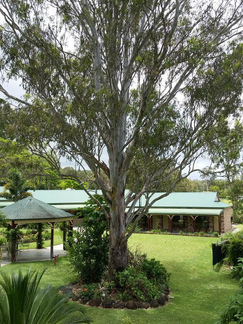 The Bearded Dragon Boutique Hotel - Accommodation Broome 32