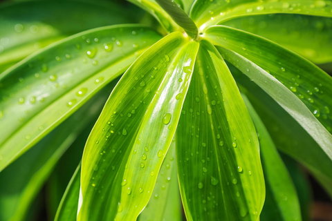 Port Douglas Motel - Accommodation Broome 27