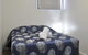 Alexandra Park Motor Inn - thumb 14
