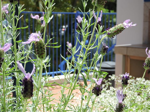 Surfers Beach Resort One - Accommodation Broome 0