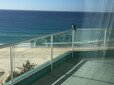 Ocean Plaza Resort - Accommodation Broome 28