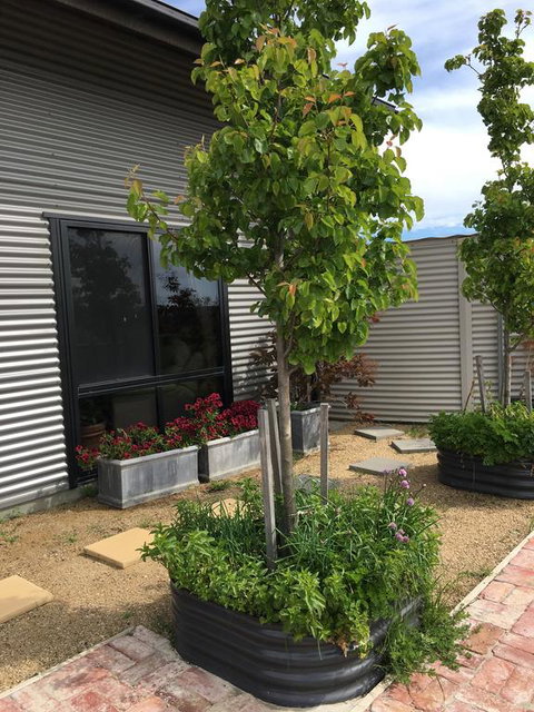 Woolamai Dreaming - Accommodation Broome 2