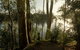A Tamed Wilderness - thumb 3
