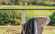 Aldinga Bay Bungalow Ocean View Retreat - thumb 1
