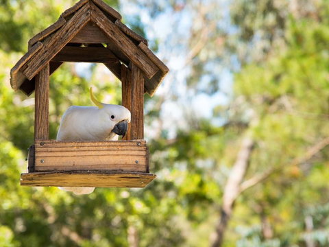 Ashling - Accommodation Broome 4