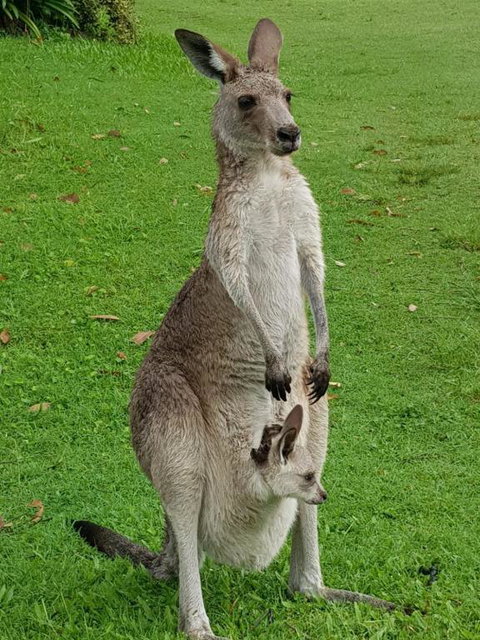 At Melaleuca 3 - Accommodation Broome 3