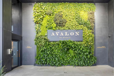 Avalon Resort Maroochydore - Accommodation Broome 2
