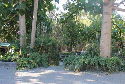 Avoca Park Equestrian Farmstay - Accommodation Broome 2