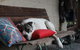 Avoca Park Equestrian Farmstay - thumb 3