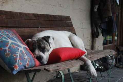Avoca Park Equestrian Farmstay - Accommodation Broome 3