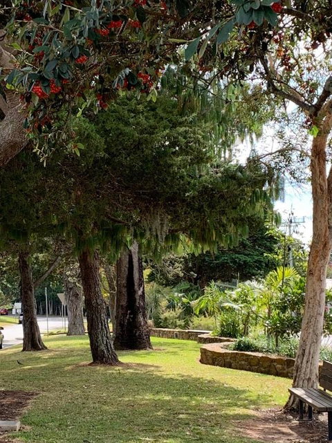 Bank House Tamborine Mountain - Accommodation Broome 4