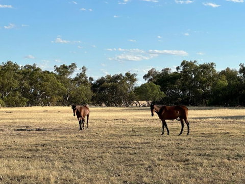 Banyena Homestead By Tiny Away - Accommodation Broome 2