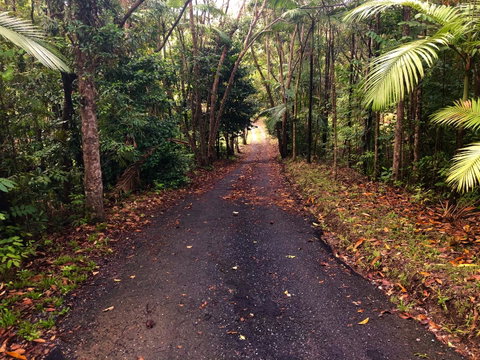 Daintree Manor B&B - Accommodation Broome 12