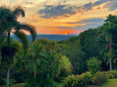 Daintree Manor B&B - Accommodation Broome 13