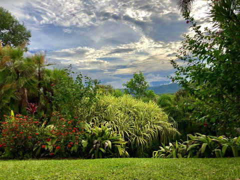 Daintree Manor B&B - Accommodation Broome 2