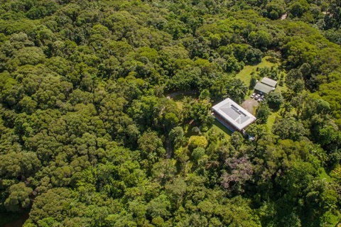 Daintree Manor B&B - Accommodation Broome 14