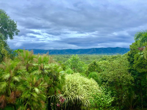 Daintree Manor B&B - Accommodation Broome 0