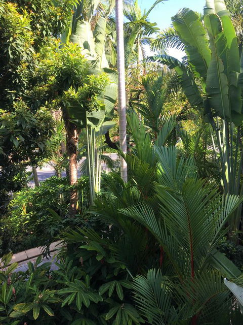 Port Douglas Apartments - Adults Only Oasis - Accommodation Broome 1