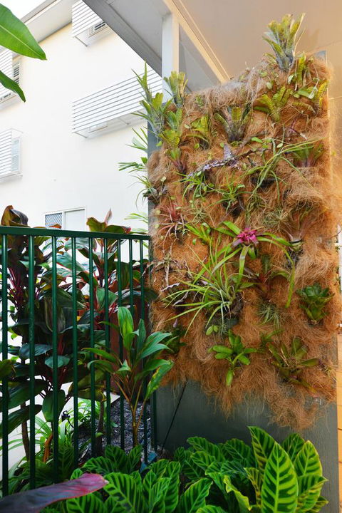 Port Douglas Apartments - Adults Only Oasis - Accommodation Broome 27