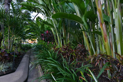 Port Douglas Apartments - Adults Only Oasis - Accommodation Broome 9