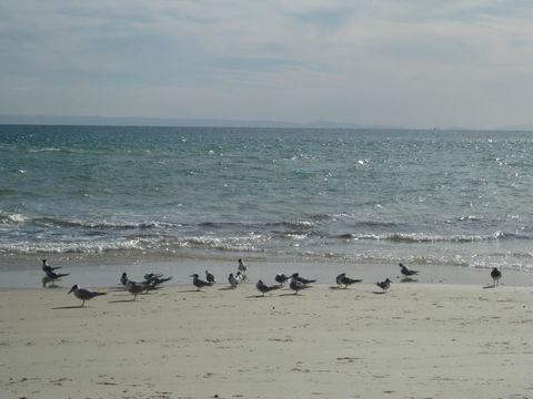 Beachfront Holiday Apartment To Rent For Short And Long Stays - Accommodation Broome 30