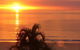 Beachfront Holiday Apartment To Rent For Short And Long Stays - thumb 36