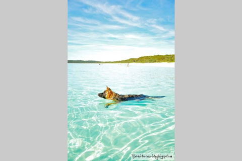 24 Hyam Road Hyams Beach - Accommodation Broome 1