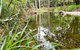 Creek House - thumb 3