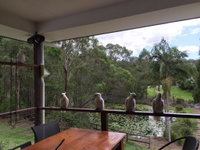 Book Gold Coast Accommodation Vacations Accommodation Broome Accommodation Broome