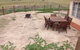 Abington Farm - thumb 1