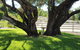 Equestrian Farm Stay - thumb 0