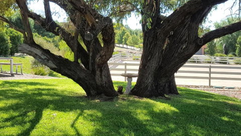 Equestrian Farm Stay - Accommodation Broome 0