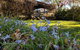Alexander Cottage - thumb 3