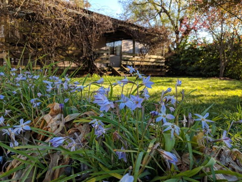 Alexander Cottage - Accommodation Broome 3