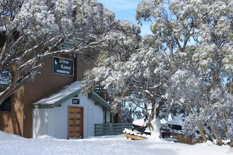 Alpine Retreat Mt Buller - Accommodation Broome 0