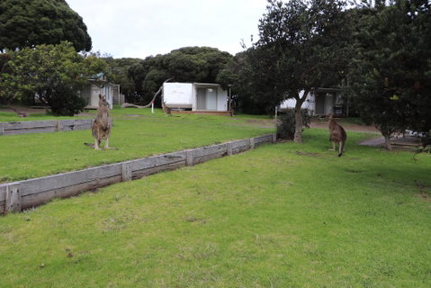 Anglesea Family Caravan Park - Accommodation Broome 3