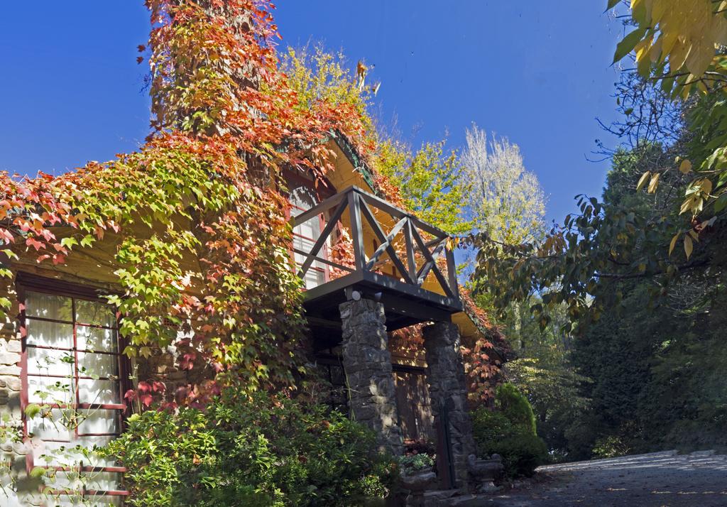 Mount Dandenong VIC Accommodation Broome