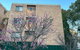 Macquarie Treetops - Sydney 2BR Apt In The Heart Of Macquarie Park - thumb 1