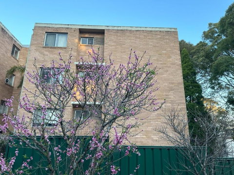 Macquarie Treetops - Sydney 2BR Apt In The Heart Of Macquarie Park - Accommodation Broome 1