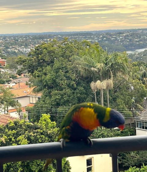 Mosman Views, 2bed, Parking, 15min Walk To Beach - Accommodation Broome 1
