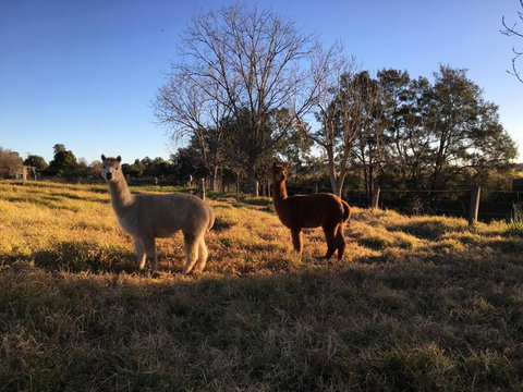 Muswellbrook Northside Bed & Breakfast - Accommodation Broome 0