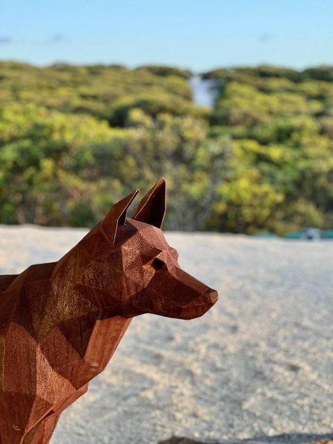 Native Dog Cabin - Accommodation Broome 2