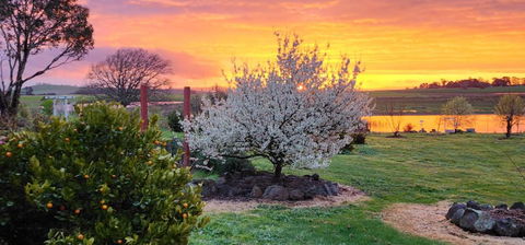 New Horizons Farm Stay - Accommodation Broome 3