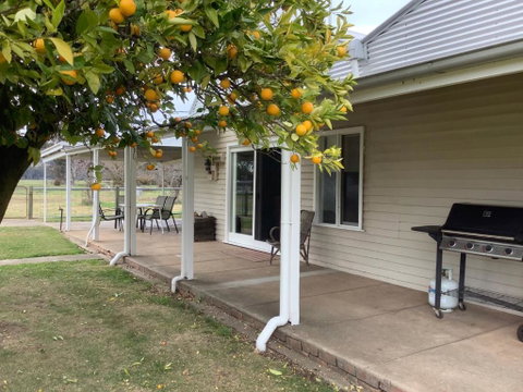 Orange Tree Cottage - Accommodation Broome 0
