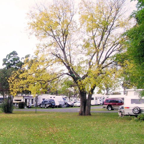 Poplar Tourist Park - Accommodation Broome 2