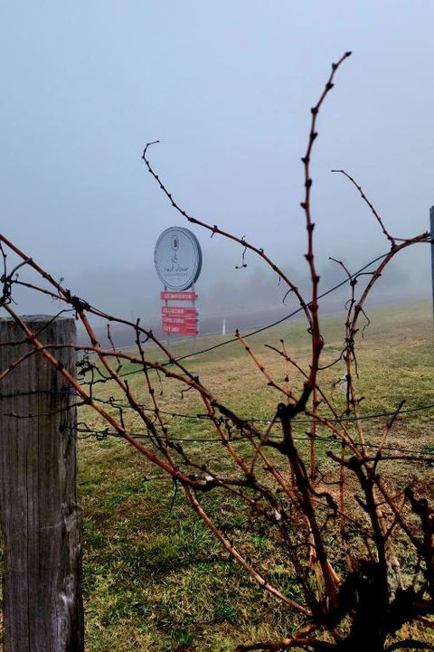 Red Door Collective - RDC Vineyard Estate, Luxury Adult Only Stay - Accommodation Broome 3