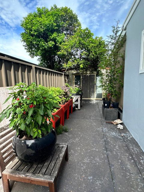 Private, Local Living Studio In Mascot, Airport - Accommodation Broome 2