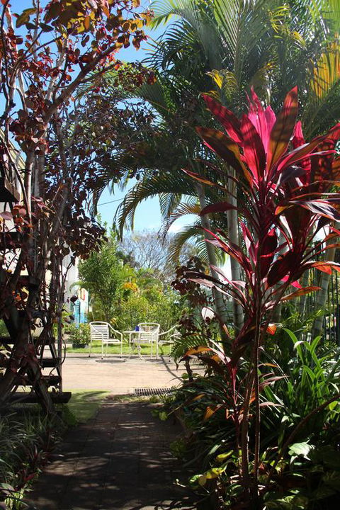 Asylum Cairns Hostel - Accommodation Broome 0