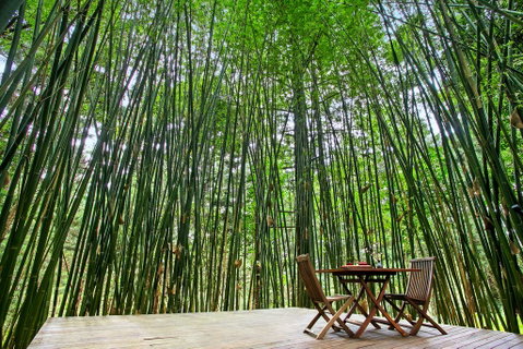 Azabu Boutique Accommodation - Accommodation Broome 1