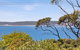 RIPVIEW In Old Lonnie - thumb 1